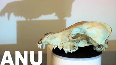 Skullbook - Digital Humanities collaboration with SoAA Skullbook - Digital Humanities collaboration with SoAA